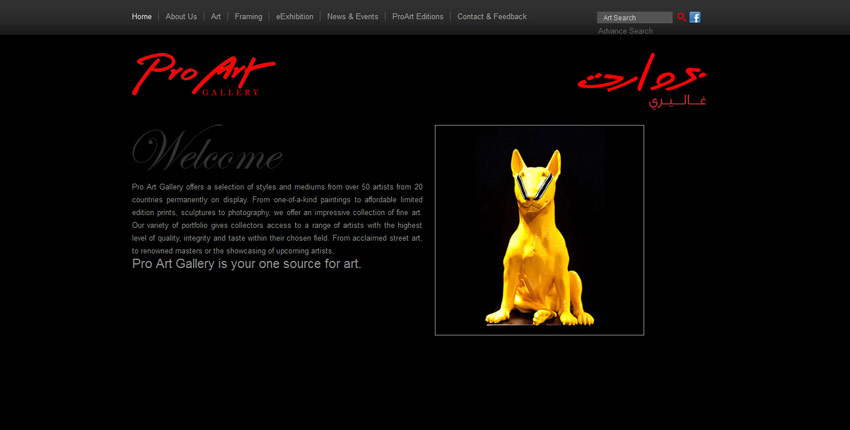 Pro Art Gallery