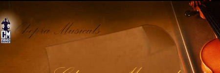 Dubai Web Designer